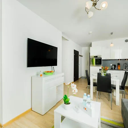 Polanki Comfort Z Basenem Letnim